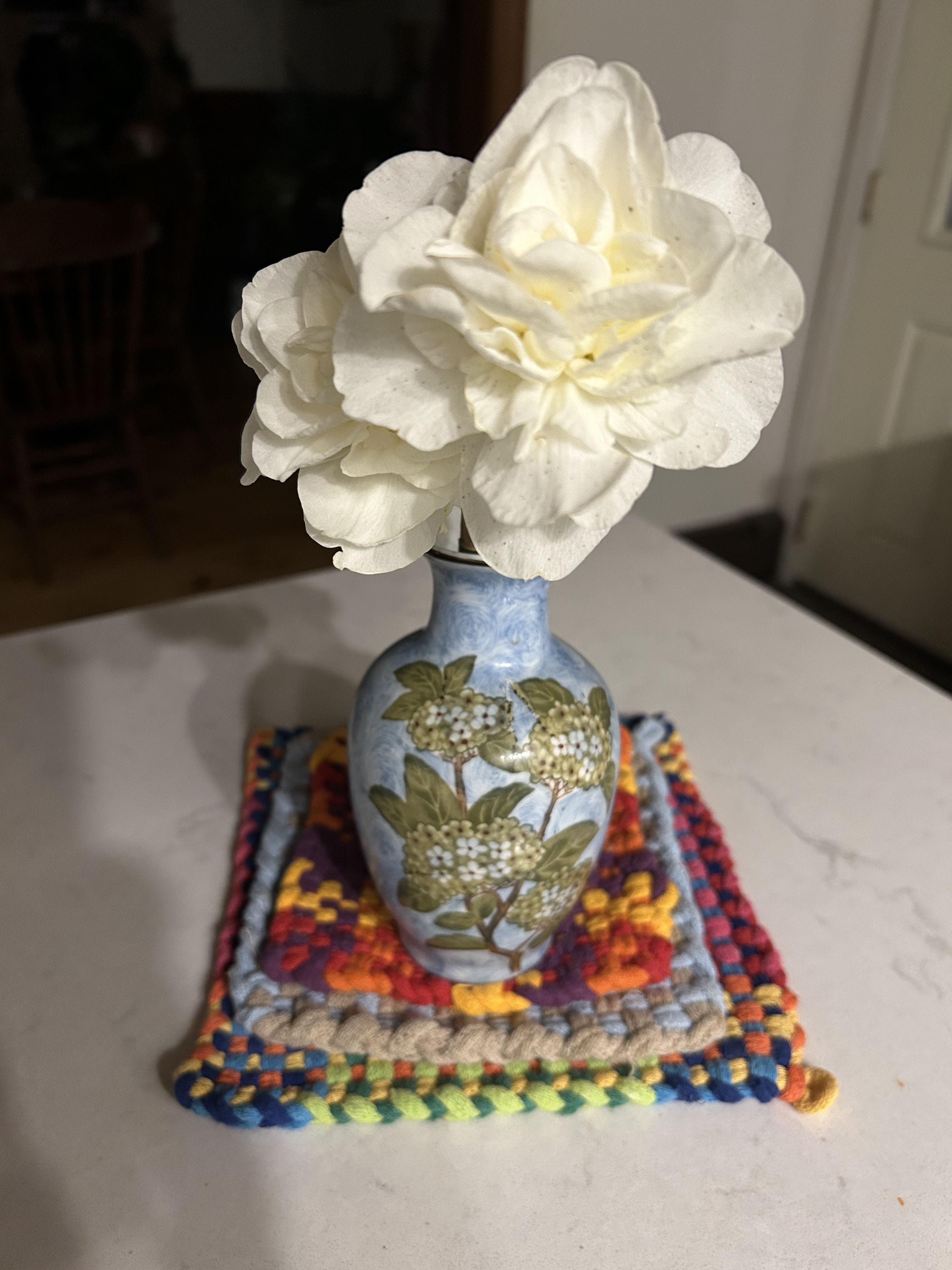 This image has an empty alt attribute; its file name is img_8729.jpg